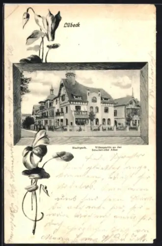 AK Lübeck, Partie im Stadtpartk und Villen an der Israelsdorfer Allee