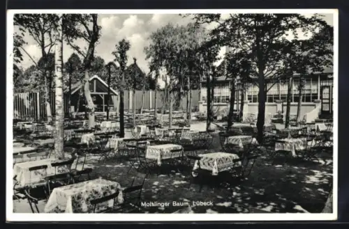 AK Lübeck, Restaurant Moislinger Baum, Bes. Bernhard Krause, Ansicht vom Garten