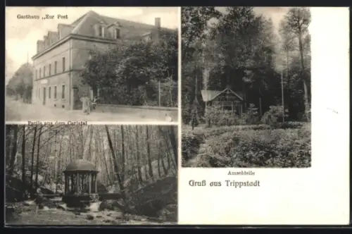 AK Trippstadt, Gasthaus zur Post, Partie aus dem Carlsthal, Amseldelle