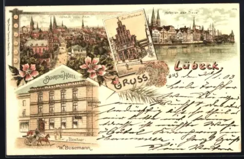Lithographie Lübeck, Behrens Hotel v. W. Busemann, Schifferhaus, Hafen an der Trave, Pferdekutsche