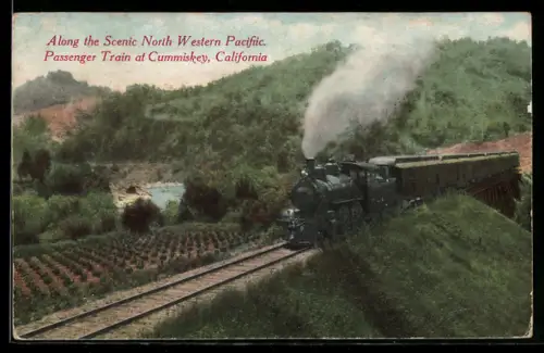 AK Cummiskey, CA, Passenger Train underway along the scenic North Western Pacific, Eisenbahn