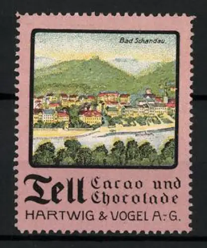 Reklamemarke Dresden, Tell Cacao und Chocolate, Hartwig & Vogel AG, Bad Schandau Ortsansicht