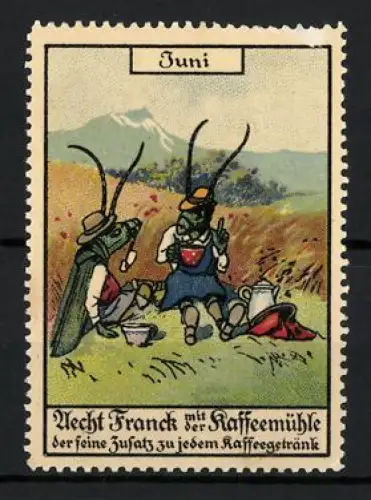 Reklamemarke Aecht Franck mit der Kaffeemühle, Heuschrecken beim Kaffeepicknick