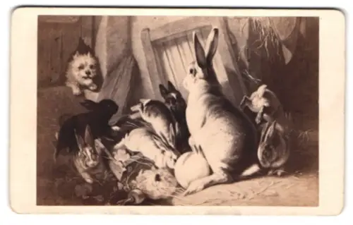 Fotografie Fotograf unbekannt, Berlin, Hund schaut zu einer Gruppe Kaninchen, nach einem Gemälde