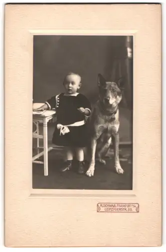 Fotografie R. Schwab, Frankfurt a. M., Leipzigerstr. 33, Köppler als Kleinkind mit Hund 1920