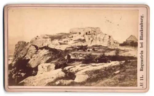 Fotografie unbekannter Fotograf, Ansicht Blankenburg, Panorama am Regenstein