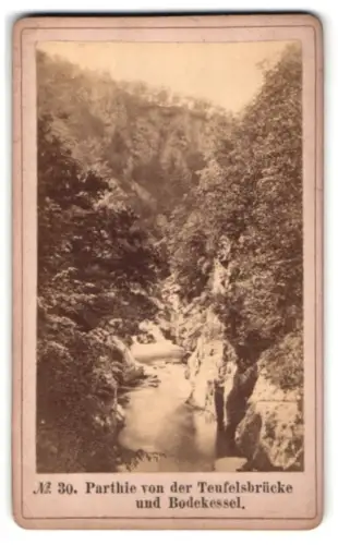 Fotografie unbekannter Fotograf, Ansicht Thale, Partie von der Teufelsbrücke und Bodekessel