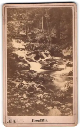 Fotografie unbekannter Fotograf, Ansicht Ilsenburg, Ilsenfälle im Wald
