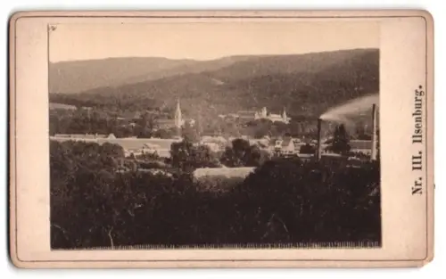 Fotografie unbekannter Fotograf, Ansicht Ilsenburg, Idyllische Ortsansicht mit Kirche