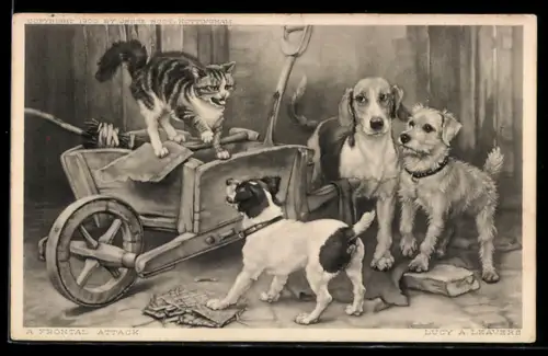 AK Katze verteidigt sich fauchend gegen drei Hunde
