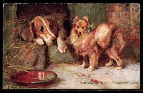 AK Old Friends, Jagdhund und Spitz