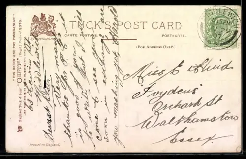 AK Old Friends, Jagdhund und Spitz