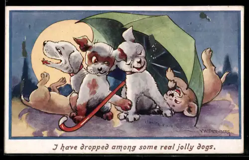 AK Lustige kleine Hunde bei Volmond unter einem Schirm