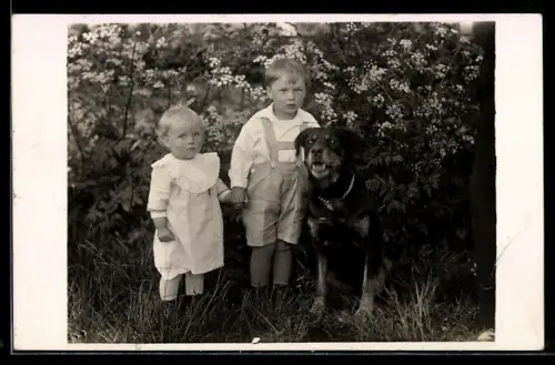 Foto-AK Zwei kleine Kinder mit Hund im Grünen