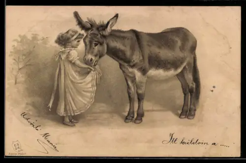 AK Mädchen gibt dem Maultier etwas zu Fressen