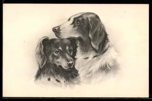 Künstler-AK Studie zweier Hunde