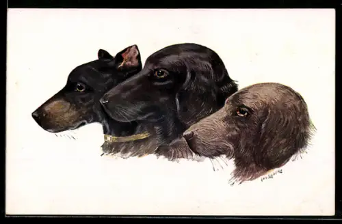 AK Drei Jagdhunde, Portrait
