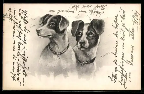 AK Zwei Hunde mit Halsband, Portrait