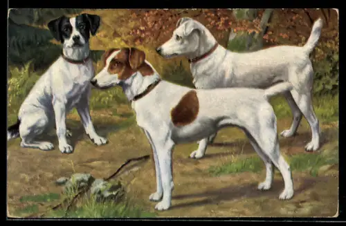 AK Drei Hunde in der Herbstsonne, Portrait
