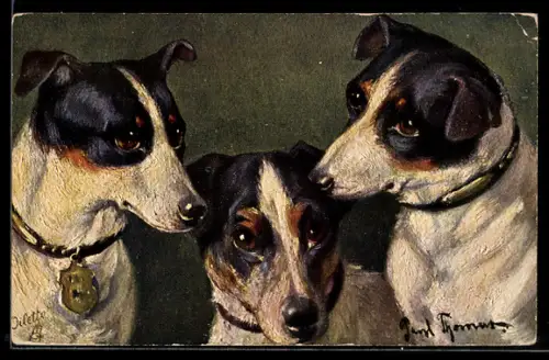 AK Drei Hunde mit Halsbändern, Portrait