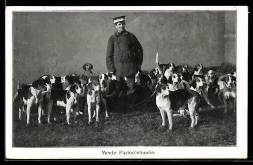 AK Eine Meute von Bracken für die Parforcejagd