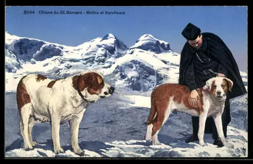 AK Chiens du St. Bernard, Maitre et Serviteurs