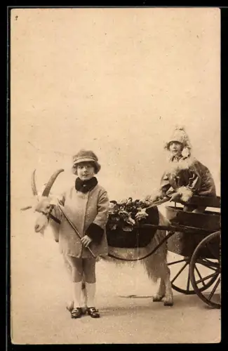 AK Mädchen lenkt Ziegengespann