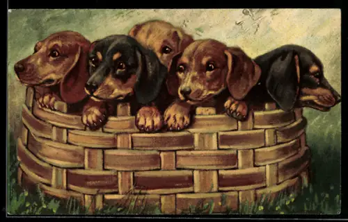 AK Ein Korb voll Glück, Dackelwelpen im Grünen