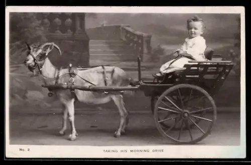 AK Taking His Morning Drive, Kleinkind im Ziegengespann vor Fotokulisse