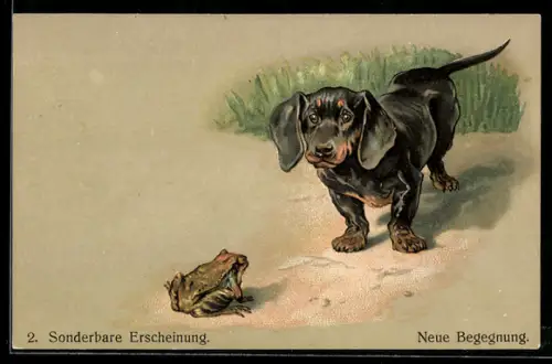 Lithographie Dackel und Frosch, Neue Begegnung