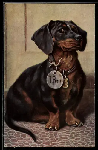 Künstler-AK sign. A. Weczerzick: Dackel mit Auszeichnug 1. Preis