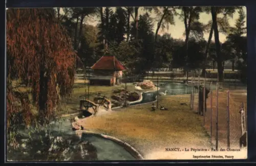 AK Nancy, Le Pépinière, Parc des Oiseaux