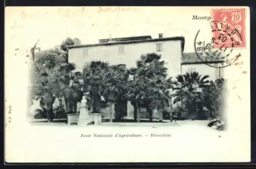 AK Montpellier, École Nationale d`Agriculture, Direction