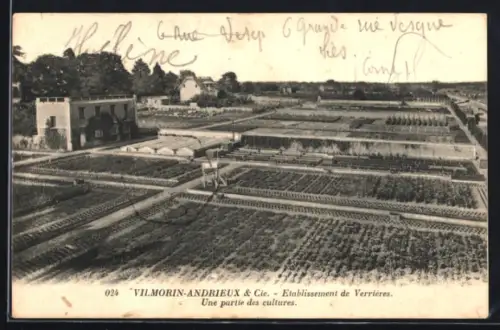AK Verrières-le-Buisson, Vilmorin-Andrieux & Cie., Une partie des cultures