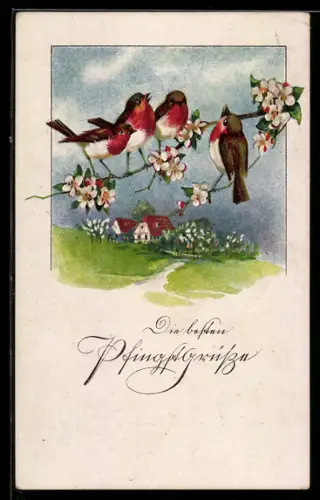 AK Singvögel auf einem Blütenzweig vor Fachwerkhaus, Pfingsten