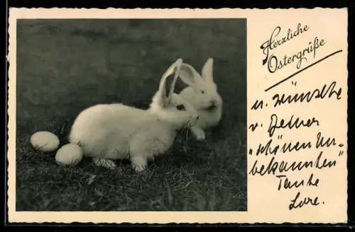 AK Zwei Osterhasen auf der Wiese, Herzliche Ostergrüsse