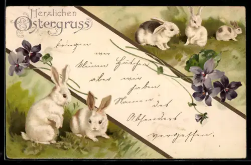 AK Osterhasen hoppeln fröhlich über die Wiese, Ostergruss