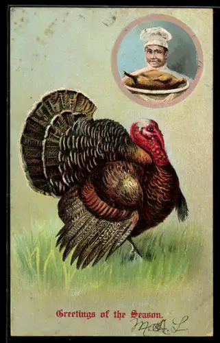 AK Greetings of the Season, Truthahn und Koch, Thanksgiving