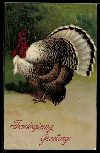 AK Thanksgiving Greetings, Truthahn