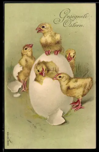 AK Osterküken schlüpfen aus einem Ei