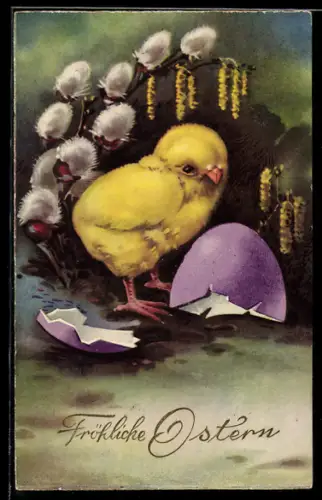 AK Osterküken neben einer Eierschale
