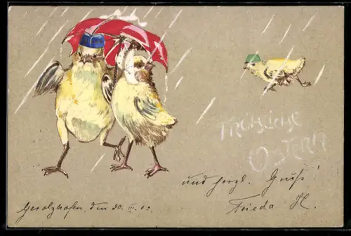 AK Zwei Osterküken laufen unter einem Regenschirm durch den Regen