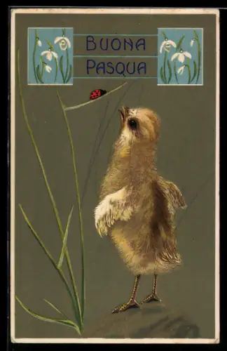 Lithographie Frohe Ostern, Osterküken streckt sich nach Marienkäfer