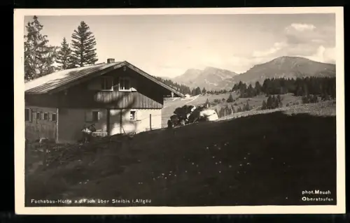 AK Steibis im Allgäu, Gasthaus Fuchsbau-Hütte a. d. Fluh