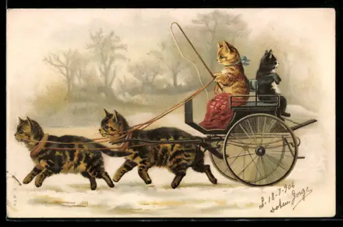 Lithographie Katzengespann, Kutsche