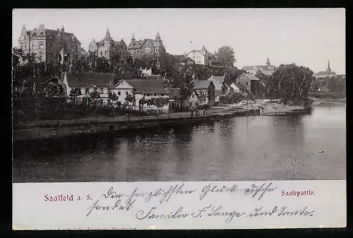 Relief-AK Saalfeld a. S., Saalepartie
