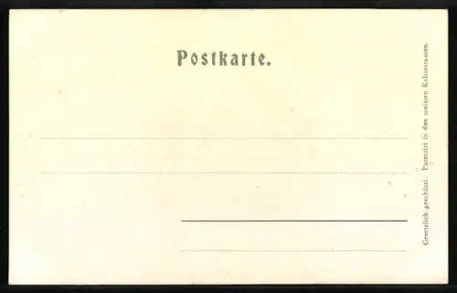 Relief-AK Wernigerode, Rathaus mit Marktplatz