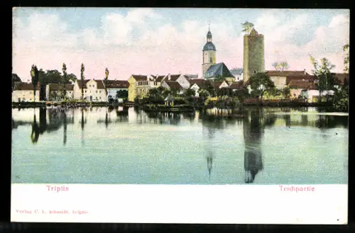 Relief-AK Triptis, Teichpartie mit Kirche