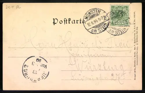 Relief-AK Münster am Stein, Rheingrafenstein