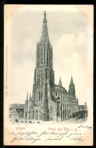 Relief-AK Ulm a. D., Münster mit Strassenpartie